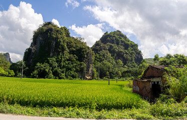 rice field in the mountains in rural China