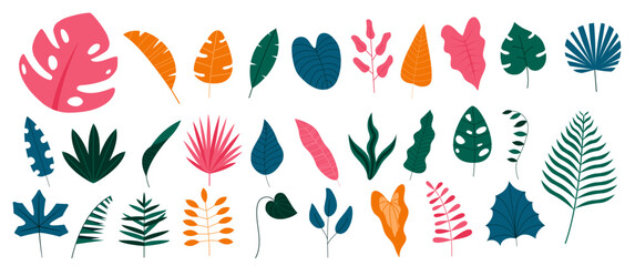 Simple Tropical Leaves 2