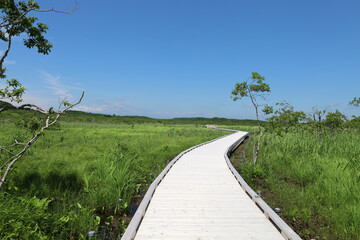 釧路湿原　温根内木道