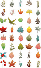 Colorful leaves flat design icon for decoration on nature concept.