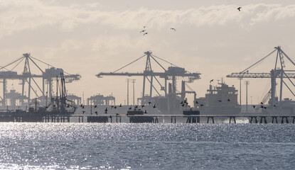 Scape of an ocean port with cranes, piers and a flock of birds in the background.