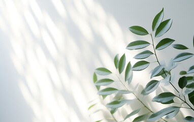 Fototapeta na wymiar Blurred Shadow of Leaf Plants on White Wall. Minimal Abstract Background for Product Presentation. Generative AI