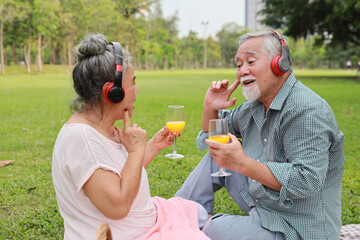Happy asian senior man and woman sitting on blanket and having fun on picnic in garden outdoor. Lover couple drinking orange juice and embracing at the park. Happiness marriage lifestyle concept.