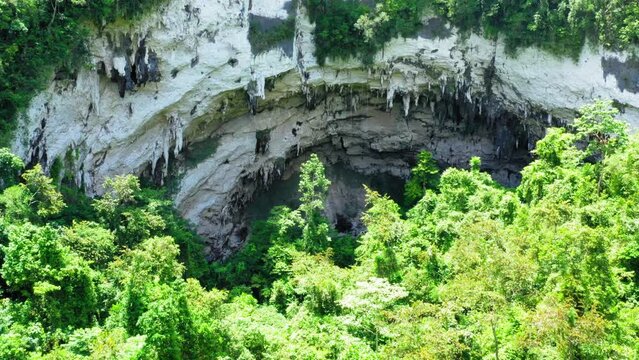 Calbiga Cave Opening in Jungle Philippines drone