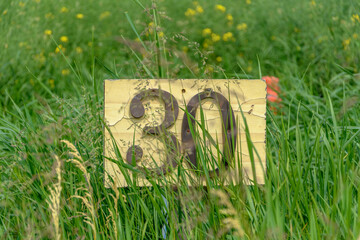 Liczba 30 na drewnianej desce w trawie - obrazy, fototapety, plakaty