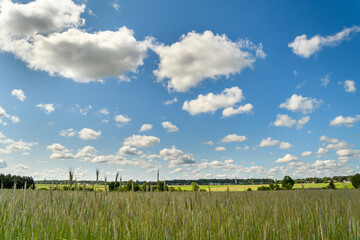 Chmury cumulus zgromadzone nad polami rolnymi na wsi 