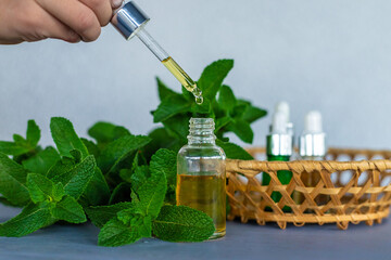 Peppermint essential oil in a bottle. Selective focus. - obrazy, fototapety, plakaty