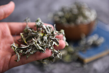 Dried wormwood leaves, traditional Chinese medicine