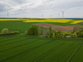Wind power plant on the background of rapeseed field