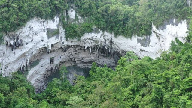 Drone flying out of cave into vegetation covered forest jungle in Samar Philippines