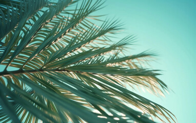 Palm tree leaves on blue sky background. Close up view. Generative AI