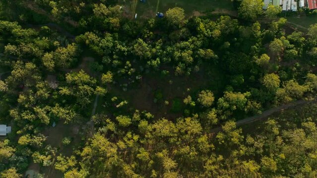 Birdseye Aerial Drone Flyover Green Australian Gumtrees With Campsite And Houses, 4K
