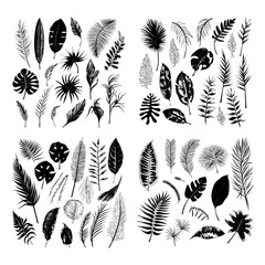 illustration set of tropical plants and leaves, hand drawn style, outline sketch.