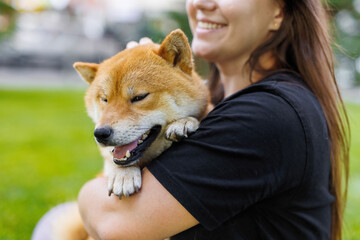 Portrait of adorable, happy dog of the Simba breed in the park on the green grass at sunset. The girl hugs and strokes her beloved pet.