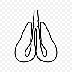 lungs, one line human set design stock vector