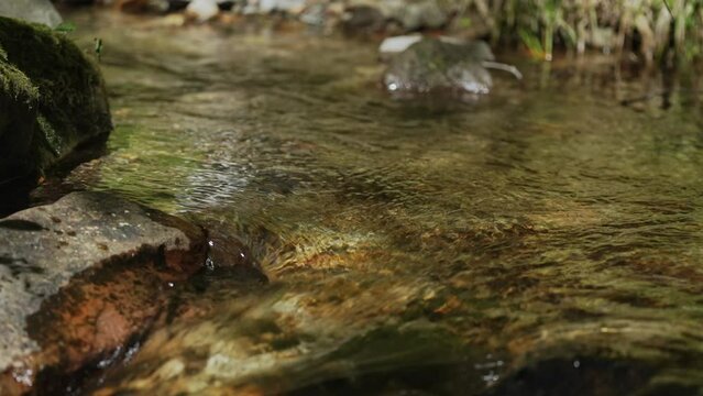 透き通る清流が流れる川のアップ
