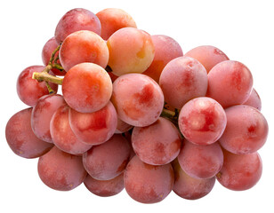 Queen Nina Grape On white background, Red grape isolate on white PNG file.