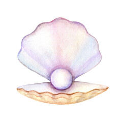 Watercolor hand drawn pearl in the shell. Design wall art, wedding, print, invitations, cover, card, tourism, travel booklet.