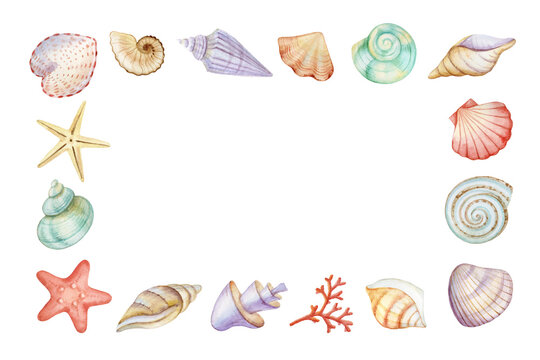 Watercolor underwater colorful shell frame. Hand drawn illustration. Design wall art, wedding, invitations, fabric, cover, card, tourism, travel booklet.