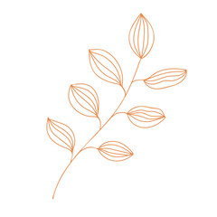 Autumn leaf outline. Hand drawn element for autumn decorative design, halloween invitation, harvest or thanksgiving. Vector illustration
