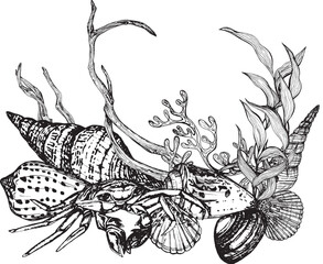 Marine composition of shells, molluscs, algae, snags, crab. Black and white hand-drawn graphics translated into vector. The illustration is intended for packaging, prints, stickers, posters, postcards
