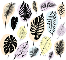  illustration set of tropical plants and leaves, hand drawn style, outline sketch.