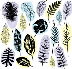 Obraz premium illustration set of tropical plants and leaves, hand drawn style, outline sketch.