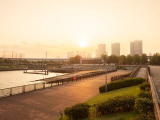 豊洲ぐるり公園の夕景　水辺の風が気持ち良い