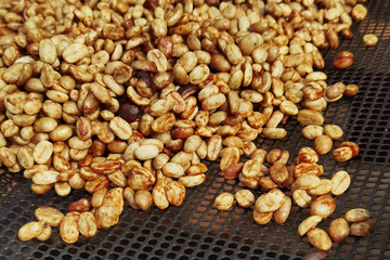 Close up of coffee beans drying in the sun              