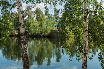 In a park on the lakeshore, trees grow on a summer day and are reflected in the water.