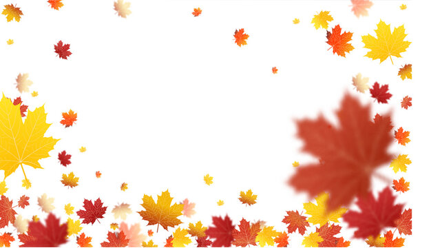 Autumn colored fall leaf texture on transparent background overlay. Vector illustration