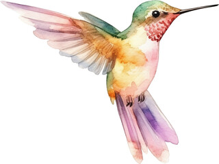 Obraz premium Watercolor Hummingbird in flight with transparent background PNG