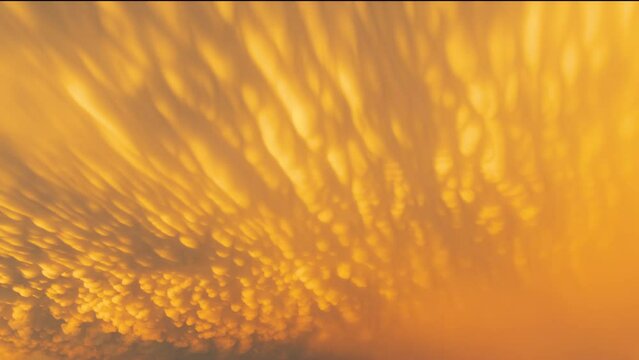 Insane mammatus display at sunset following a severe thunderstorm that produced a tornado. 