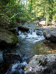 Naklejka na ściany i meble imagen paisaje natural, verde, con un río y un pequeño salto de agua, con árboles a los lados y al fondo 