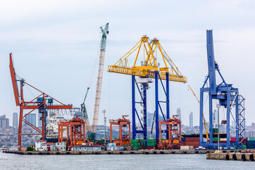 Harbor cranes. Cargo sea port