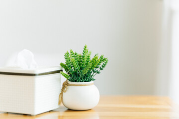 Decorate the house with a small plant on the dining table. Home decorating ideas.