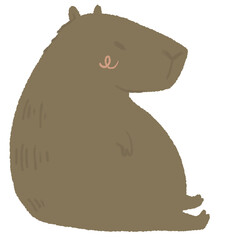 capybara cute fat  wild animal friendly