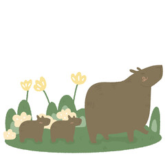 capybara cute wild animal friendly