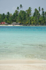 Tropical beach with palm trees during a sunny day, Guna Yala Comarca, Panama - stock photo