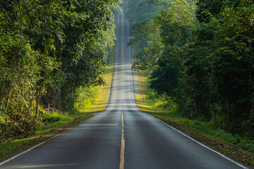 Road in the middle of the forest and ascending to the top of the hill. in Khao Yai National Park, Thailand.