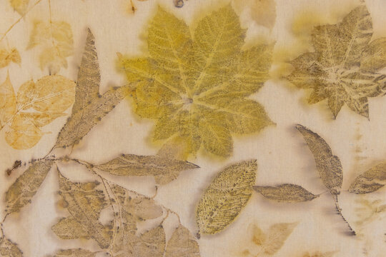 Fragment of hand-dyed fabric using eco-print technique for background and texture.