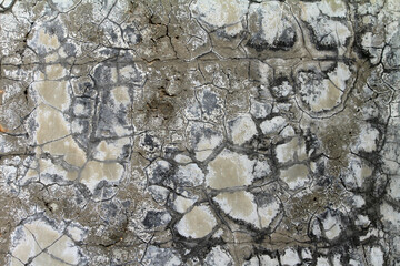 the walls are damaged, worn, cracked and moldy due to the weather
