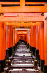 Torii Gates