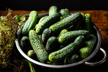 Fresh organic cucumbers in a sieve on a dark wooden background. Preparing for pickling.
