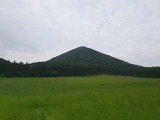 Fototapeta premium Jeju Oreum