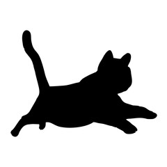 Vector isolated cat silhouette, logo, print, decorative sticker