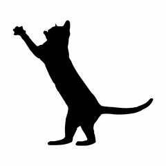 Vector isolated cat silhouette, logo, print, decorative sticker