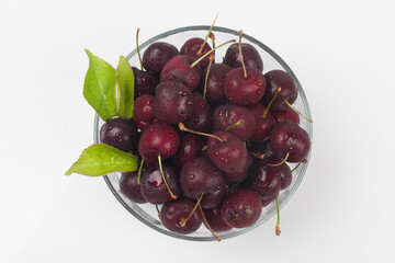 
A perennial plant with woody stems or branches.