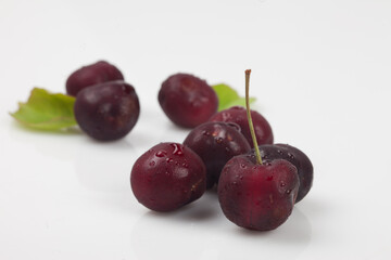 
A perennial plant with woody stems or branches.