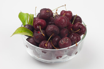 
A perennial plant with woody stems or branches.